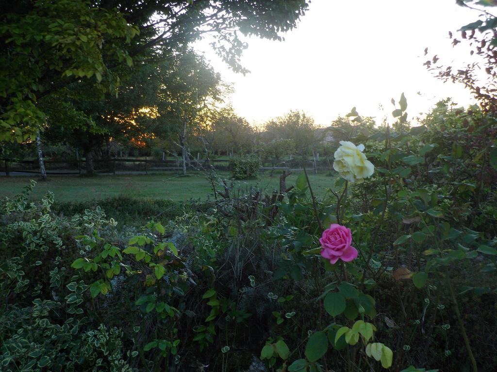 Bed and Breakfast La Lunaire Verteillac Экстерьер фото