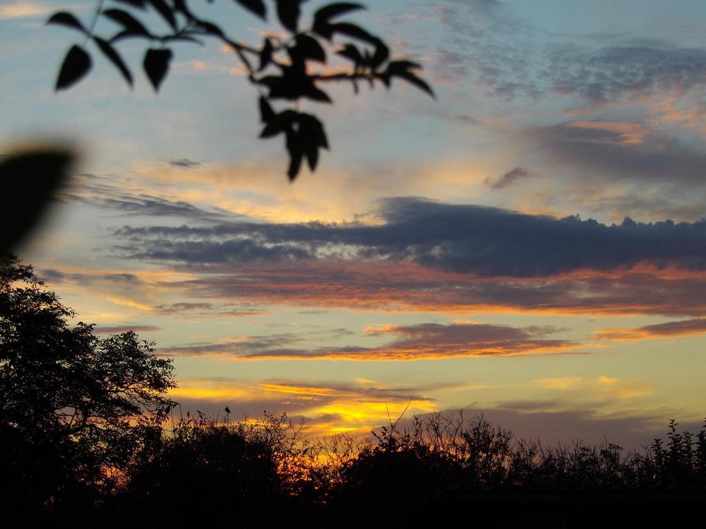 Bed and Breakfast La Lunaire Verteillac Номер фото